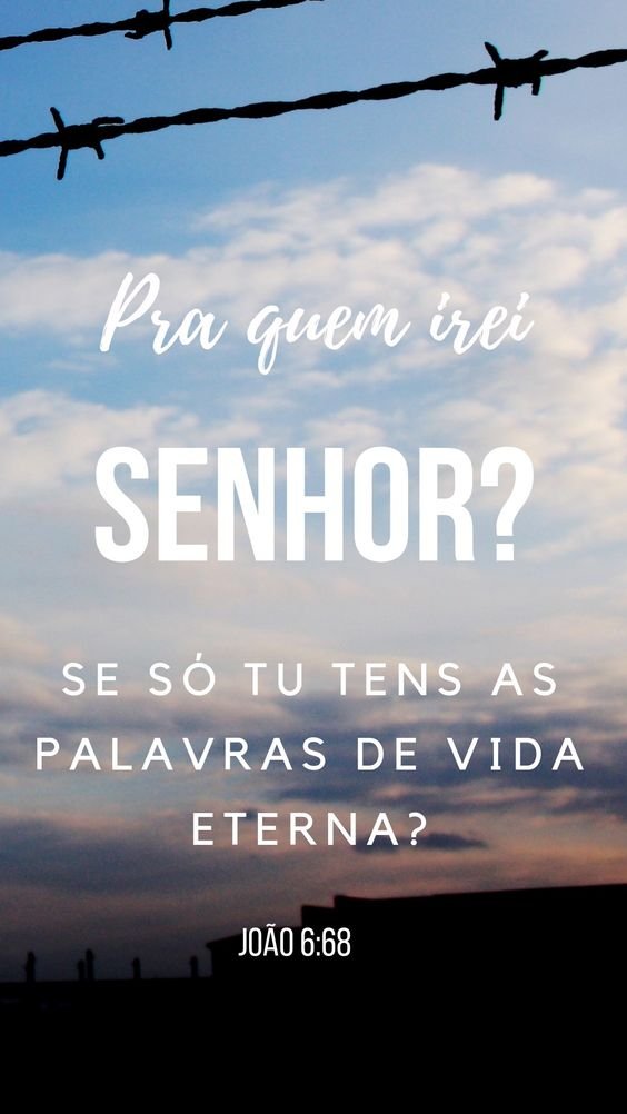 Jesus só Tu Tens as Palavras da Vida Eterna –  Reflexão Bíblica