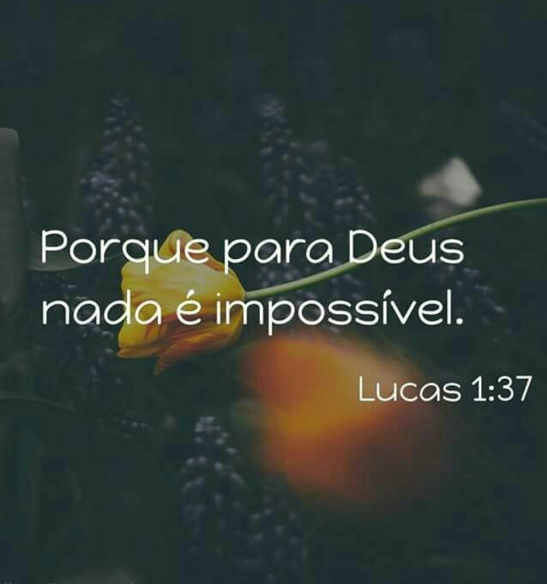 23 Versículos Bíblicos para quem Sonha viver o Impossível de Deus