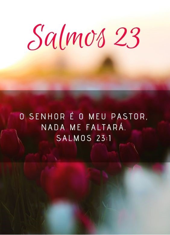 Salmos de cura e milagres para você vencer as enfermidades