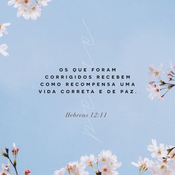 Versículos Bíblicos de Gratidão – Agradecendo a Deus