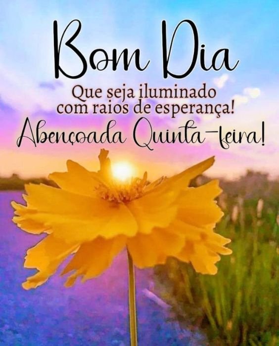 40 Frases Bom dia Quinta-feira abençoada com belas imagens