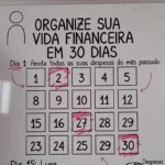 Como Organizar a Vida Financeira em 30 Dias: Um plano realista